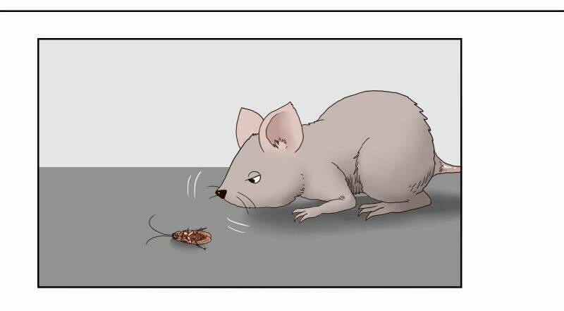 Thế Giới Cận Tử: Chapter 1