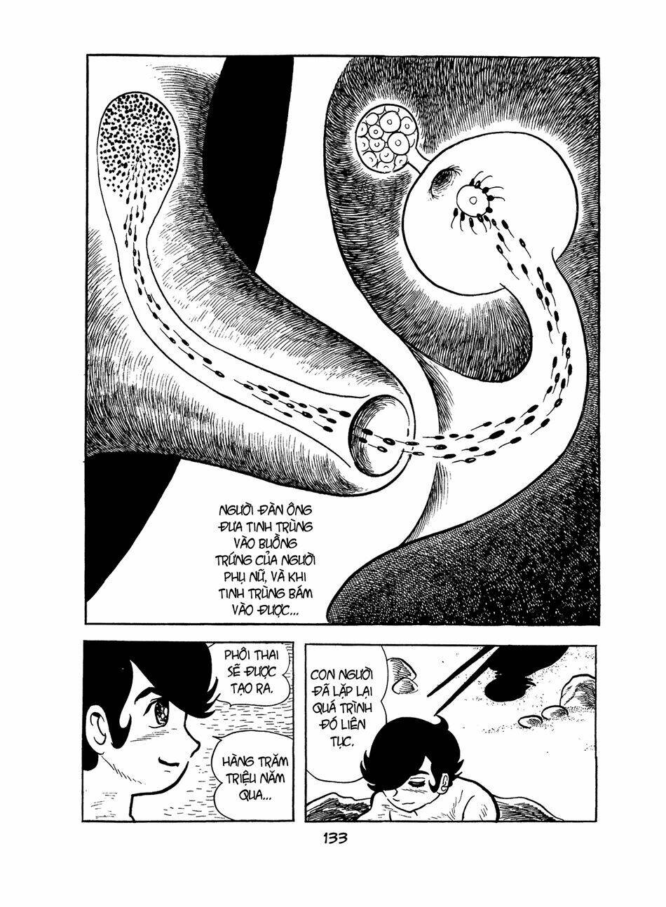 Apollo\’s Song: Chapter 2.2