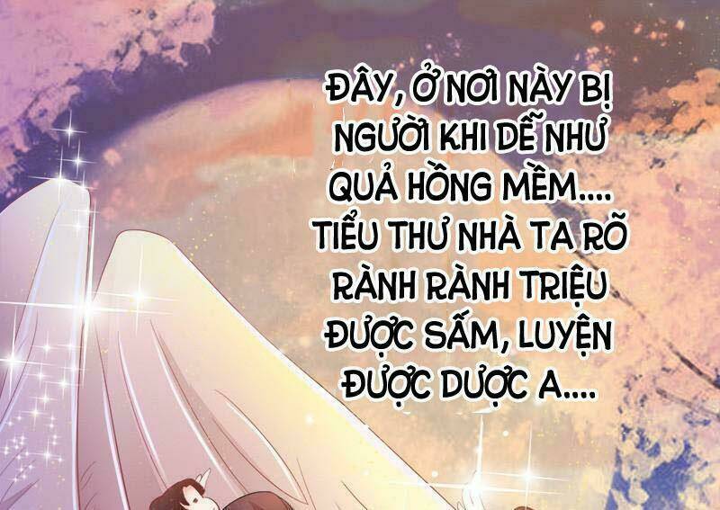 Tuyệt Thế Luyện Đan Sư: Chapter 5