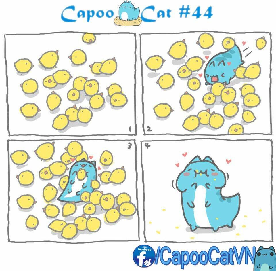 Capoo Cat: Chapter 5