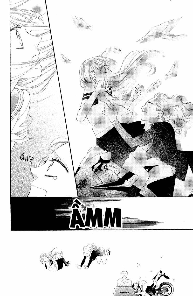 Hoa Trong Bão: Chapter 5