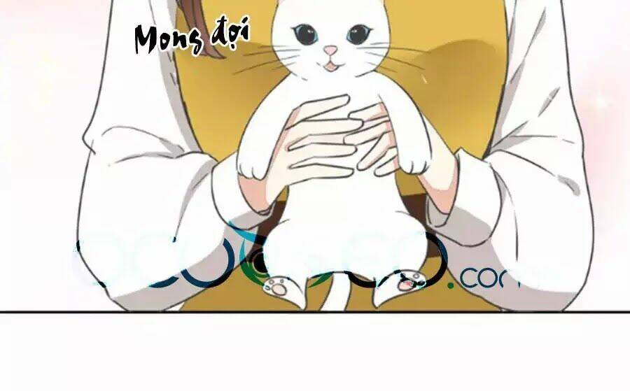 Mùi Hương Lãng Mạn: Chapter 37