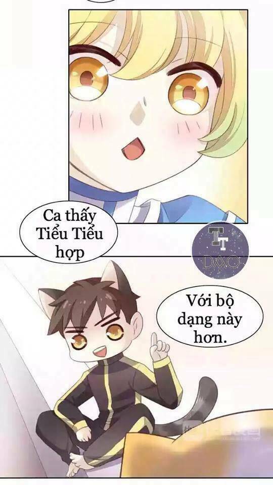 Dưới Móng Vuốt Mèo: Chapter 11