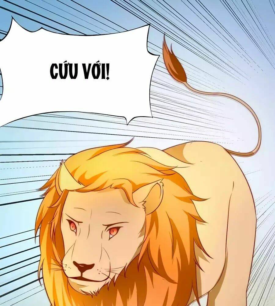 Sủng Hậu Của Vương: Chapter 1