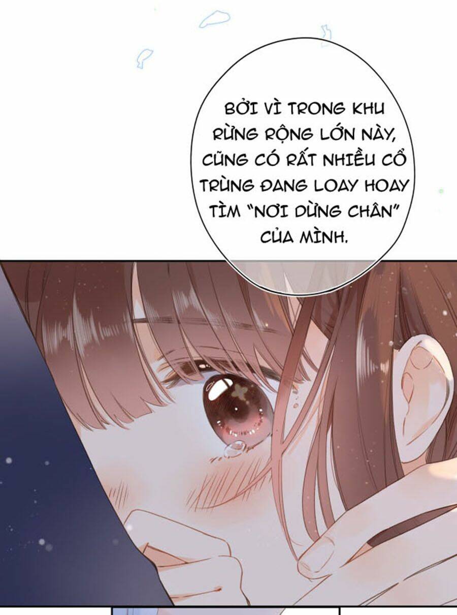 Sos! Tôi Đã Yêu Một Con Sâu Bướm (Phần 2): Chapter 5