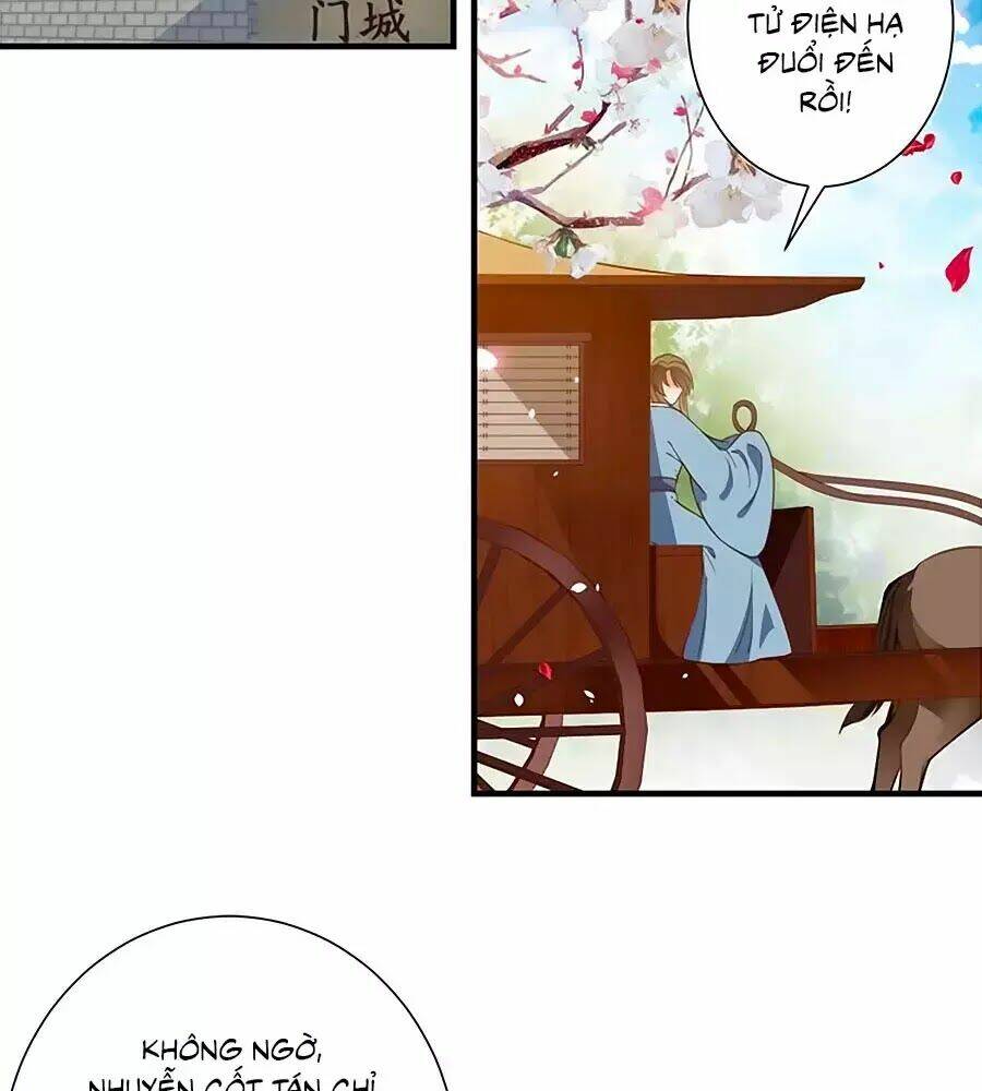 Thịnh Thế Lê Hoa Điện: Chapter 95