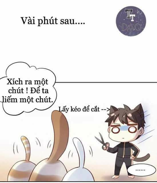 Dưới Móng Vuốt Mèo: Chapter 6