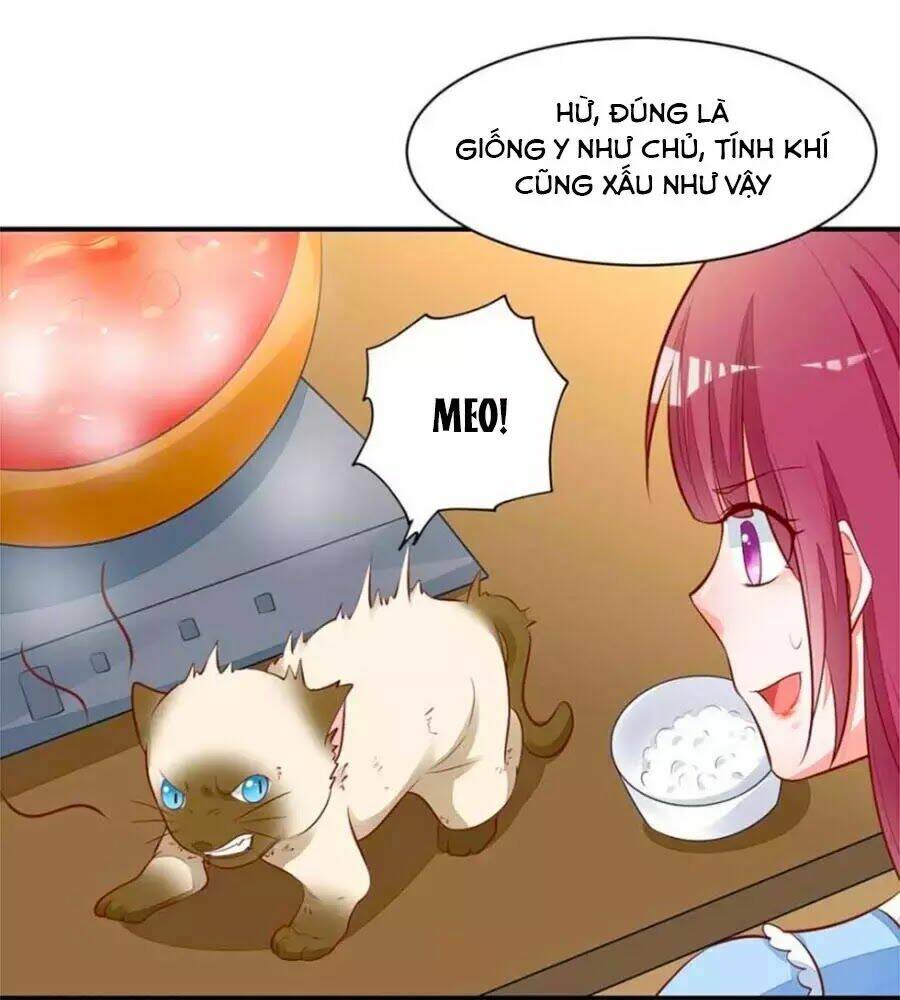 Thịnh Thế Hoa Sủng: Tôi Bị Bắt Làm Tù Binh: Chapter 19