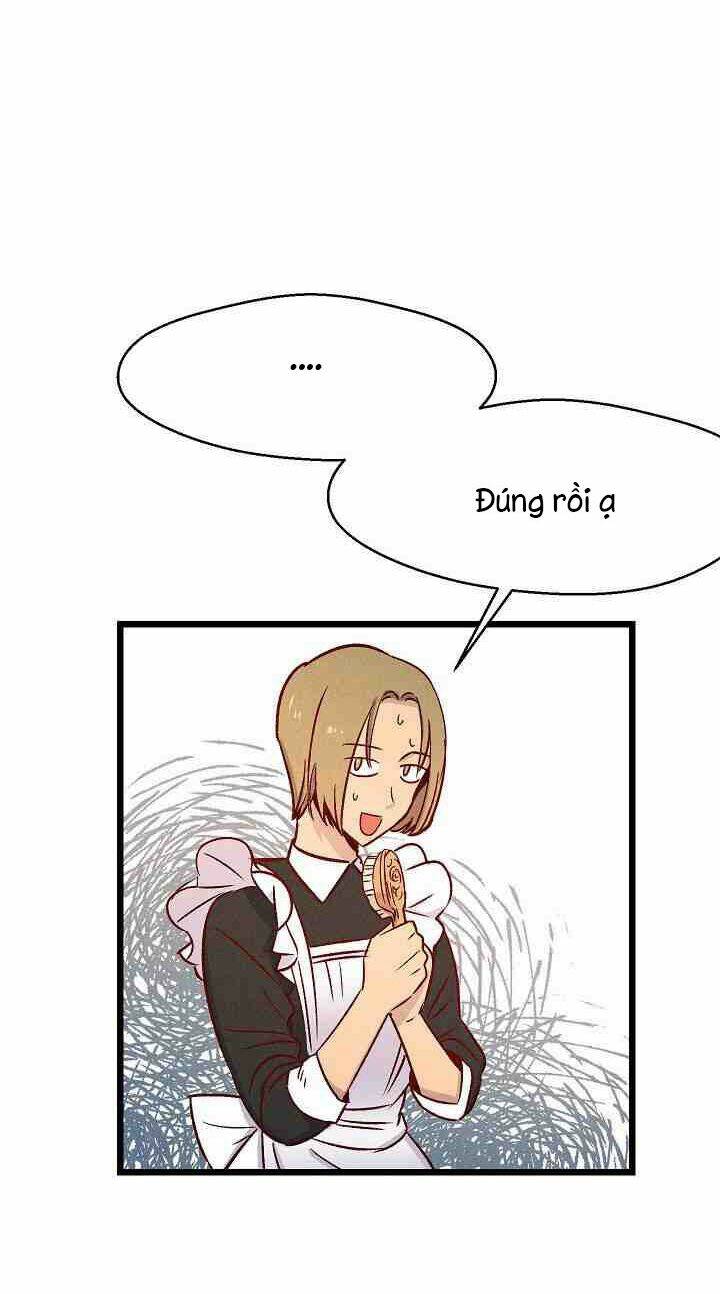 Hôn Lễ Báo Thù: Chapter 1