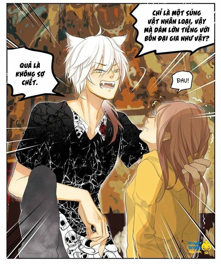Cứu Mạng! Loài Mèo Thống Trị Thế Giới Rồi!: Chapter 19