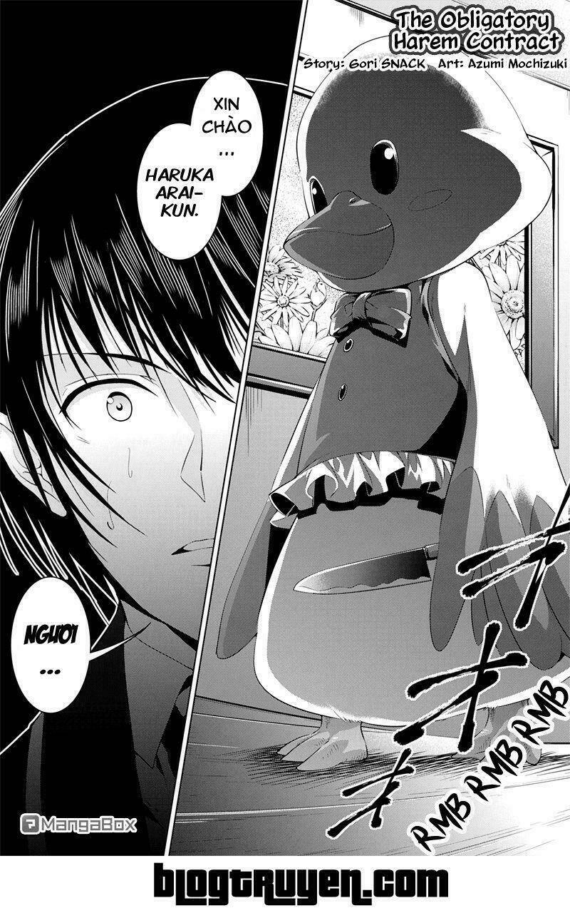 Kyousei Harem Keiyaku: Chapter 13