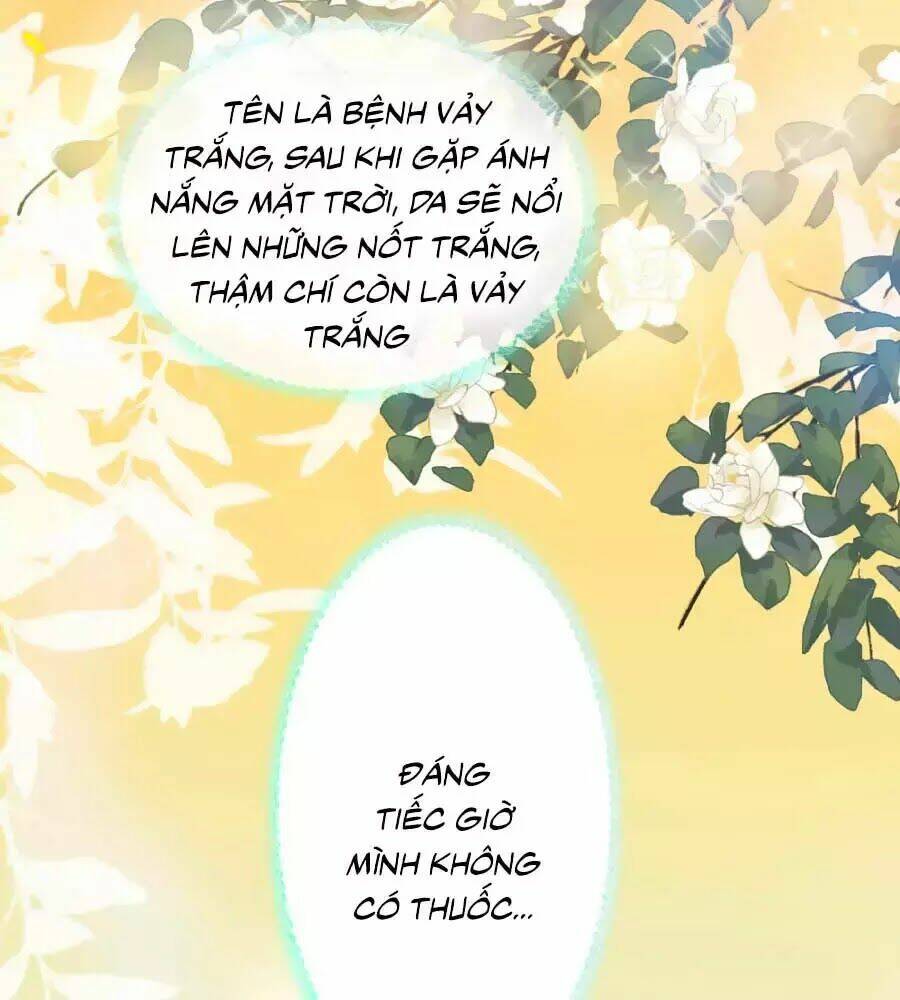 Sủng Hậu Của Vương: Chapter 19