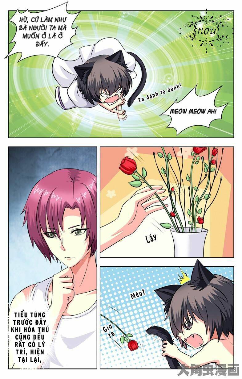 Nam Thần Của Tôi: Chapter 58