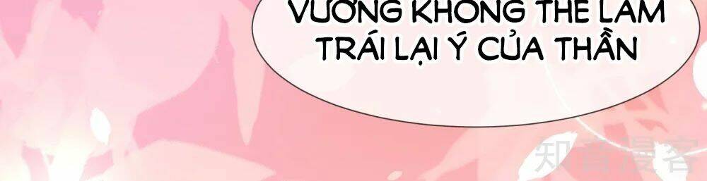 Sủng Hậu Của Vương: Chapter 41