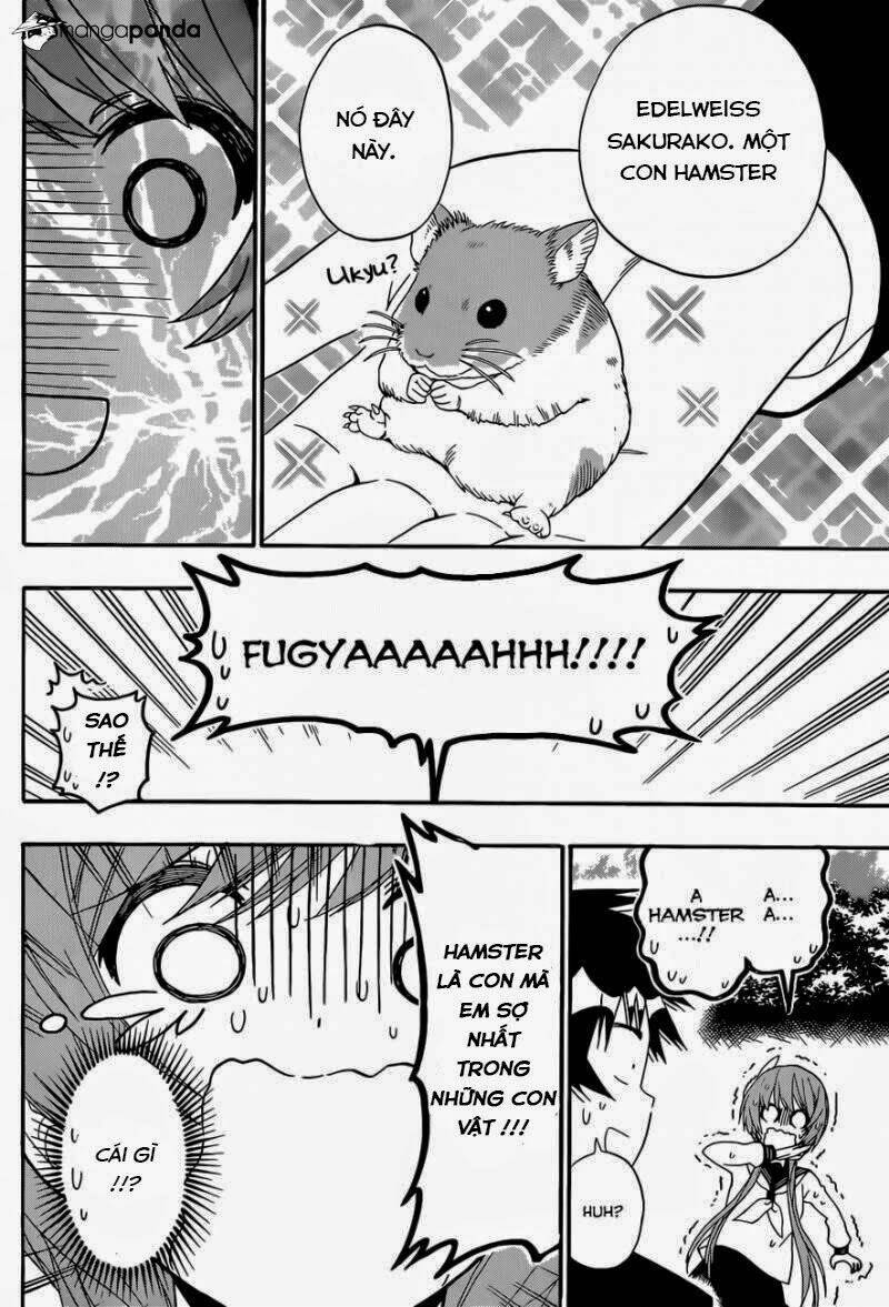 Tình Yêu Ngang Trái: Chapter 142