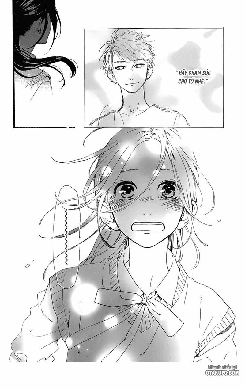 Sao Mai Của Em: Chapter 61