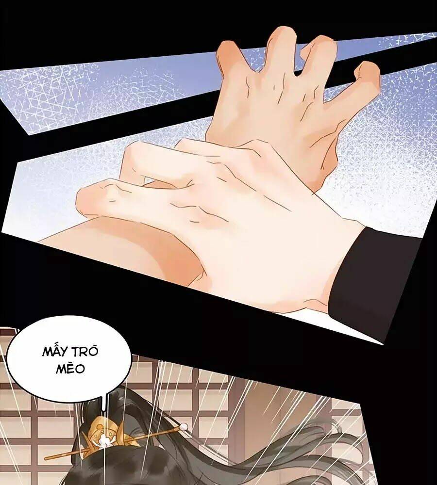 Tiểu Sư Phụ, Tóc Giả Của Ngài Rơi Rồi!: Chapter 22