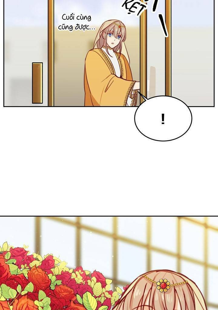 Amina - Nữ Thần Đèn: Chapter 11