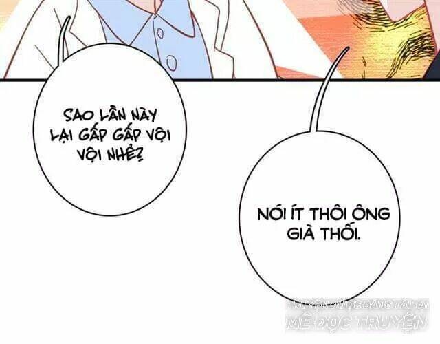 Tinh Diệu Vị Lai: Chapter 11