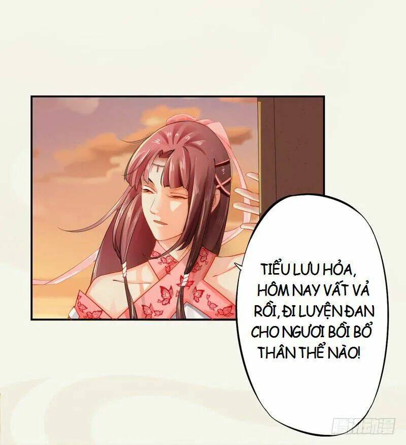 Tuyệt Thế Luyện Đan Sư: Chapter 13