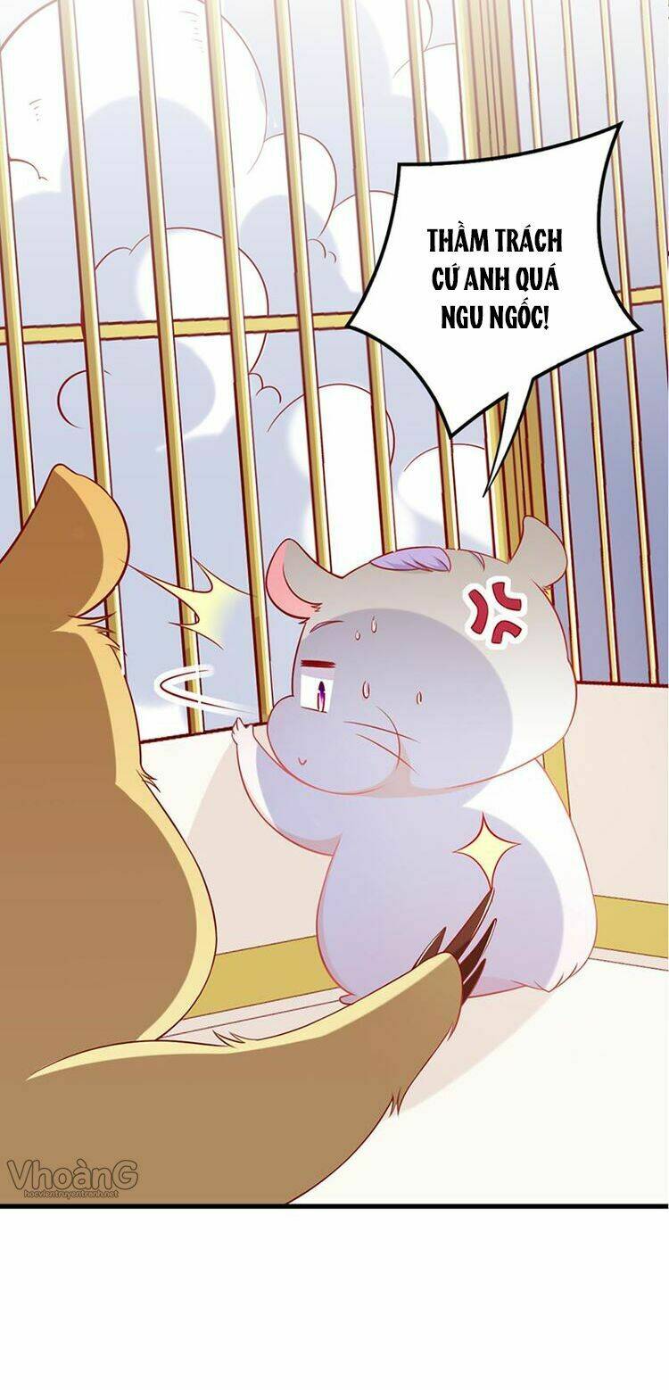 Kế Ước Ngọt Sủng:quốc Dân Lão Công Đích Tiểu Chiếm Giữ Thử: Chapter 3