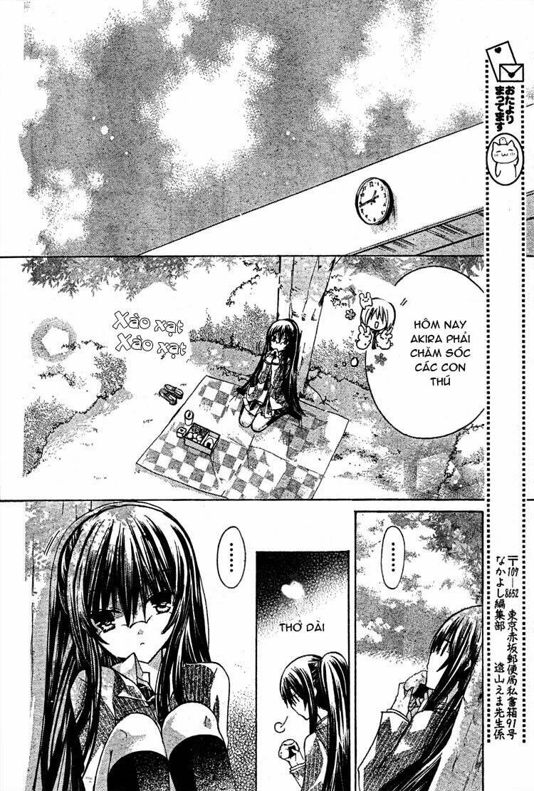 Watashi Ni Xx Shinasai!: Chapter 15