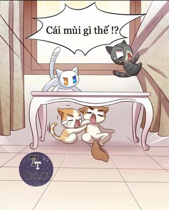 Dưới Móng Vuốt Mèo: Chapter 6