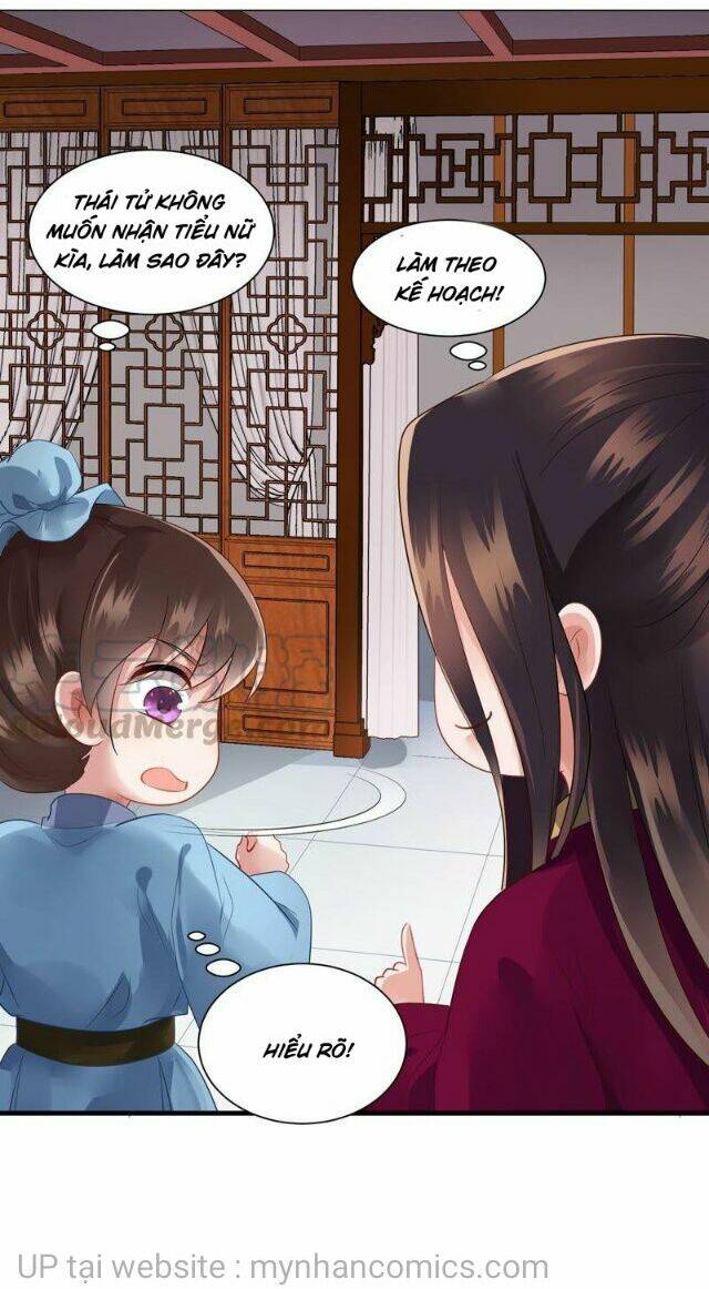 Thái Tử Điện Hạ Có Tin Vui: Chapter 145