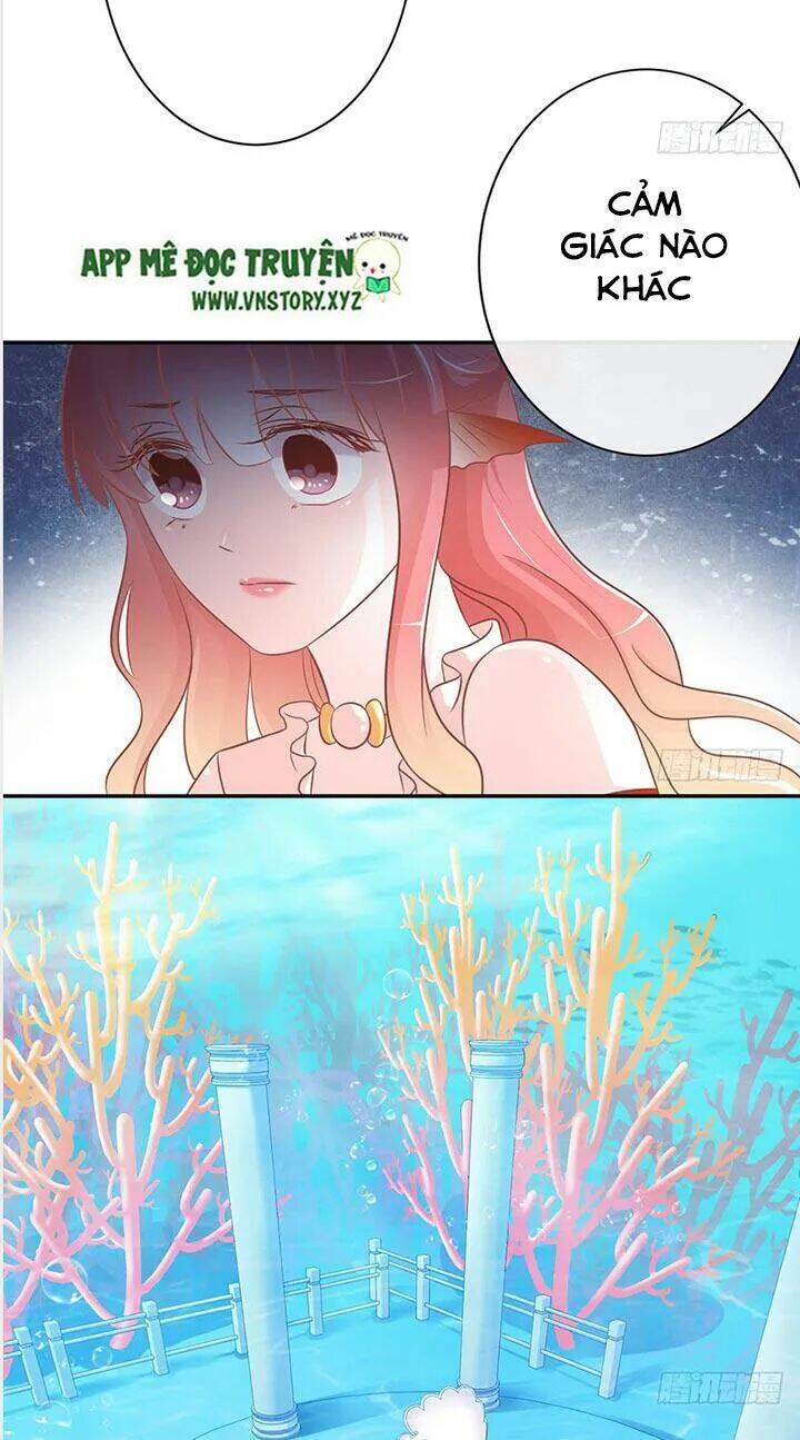 Cẩm Lý Thiếu Nữ Của Tôi: Chapter 24