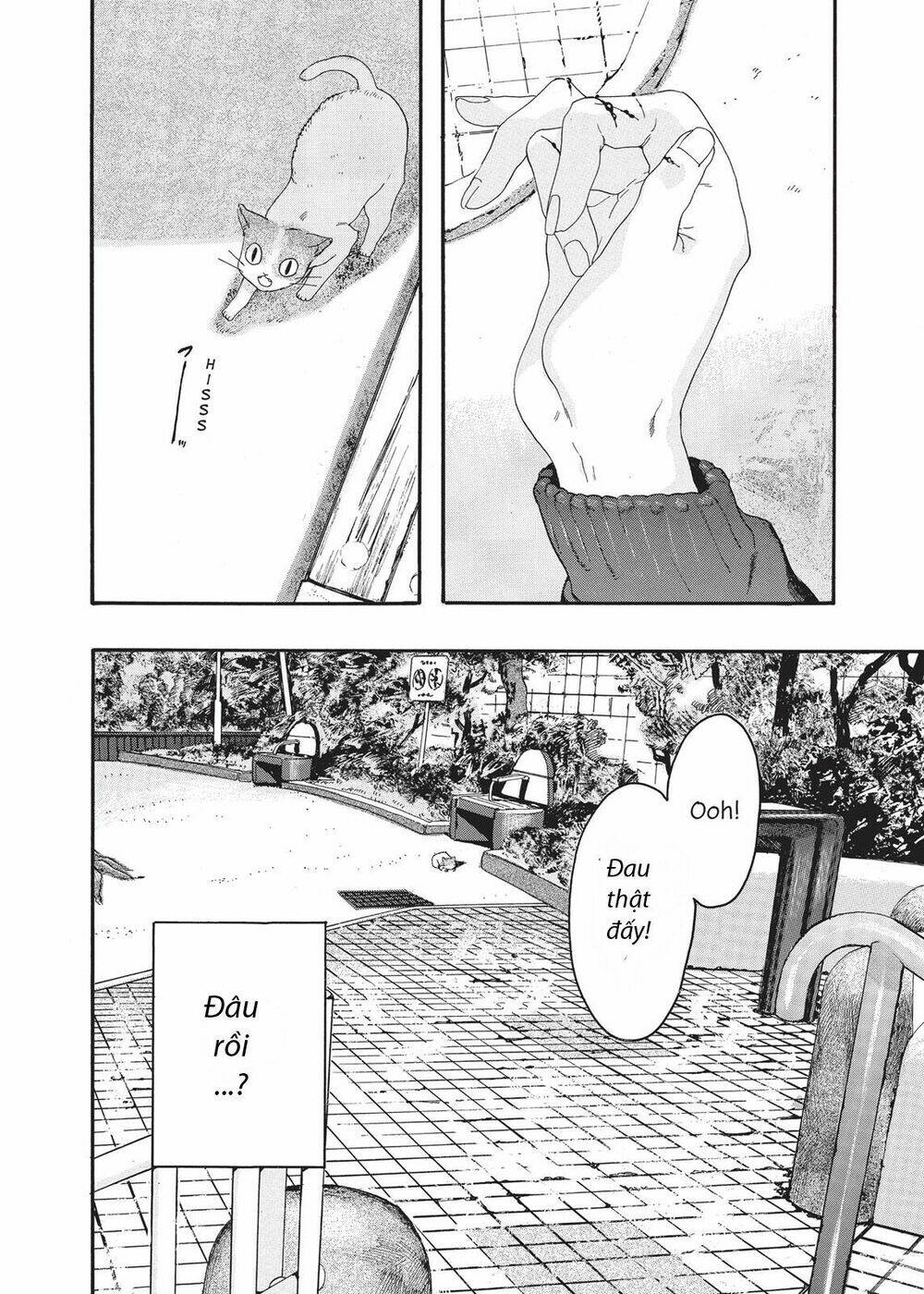 Chú Mèo Và Cô Chủ: Chapter 4