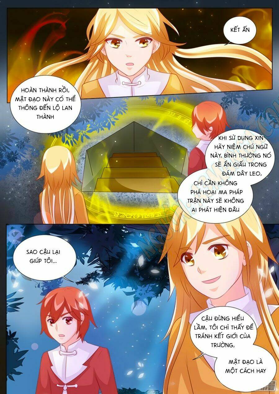 Chước Chước Lưu Ly Hạ: Chapter 94