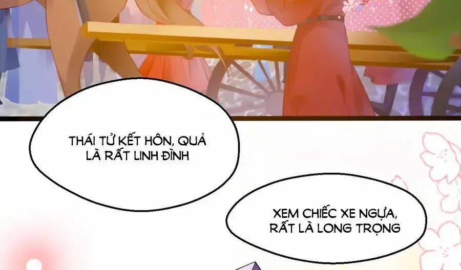 Tang Lạc Túy Tại Nam Phong Lý: Chapter 1