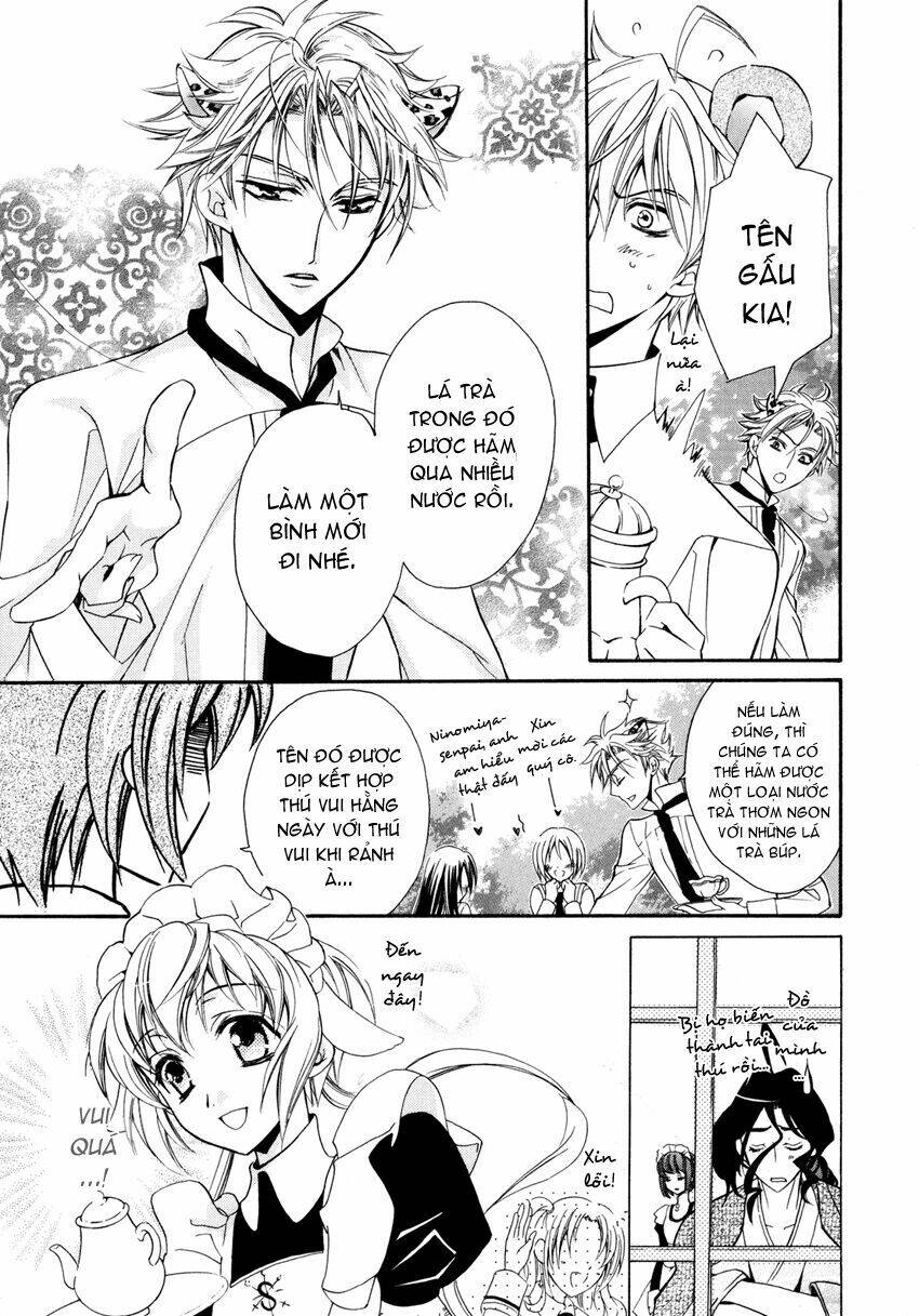 S.L.H (Stray Love Hearts): Chapter 4