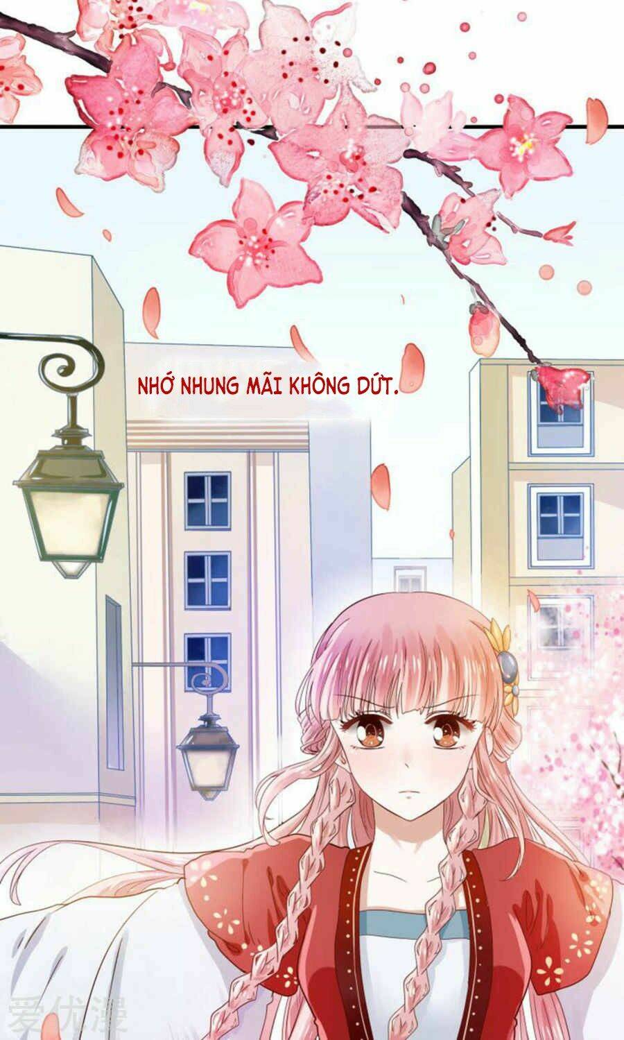 Tôi Bị Gấu Trúc Nhìn Trúng Rồi: Chapter 1