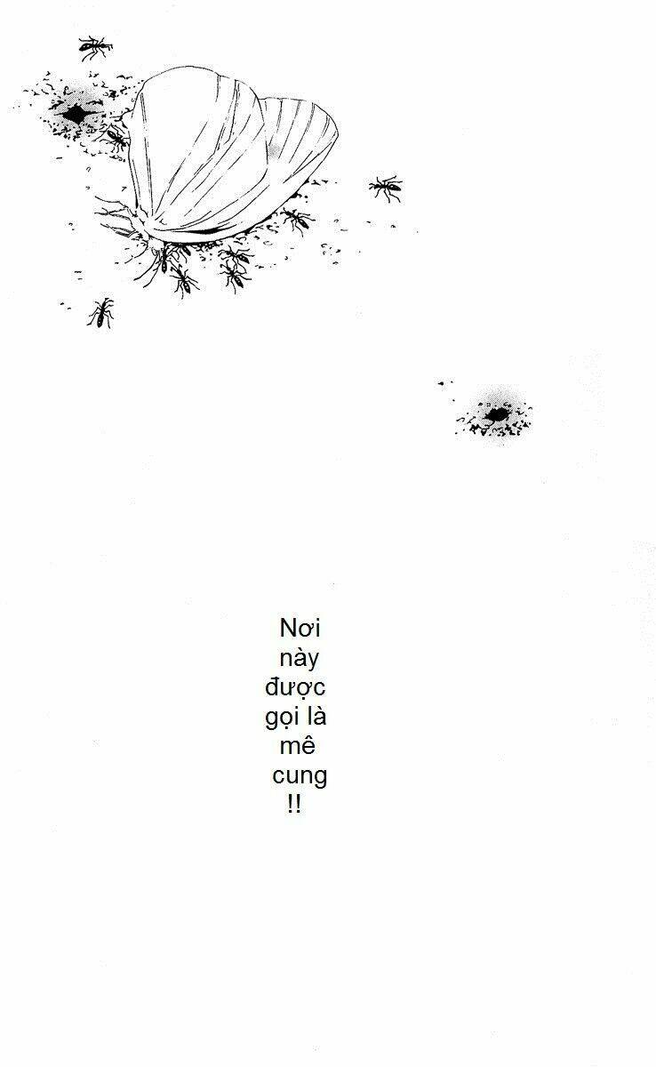 Mayonaka No Ariadone: Chapter 1