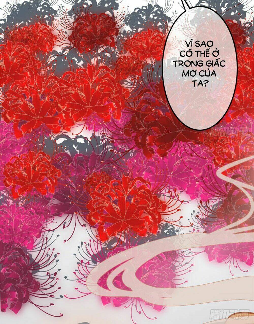 Trẫm Quyết Định Giải Tán Hậu Cung: Chapter 5