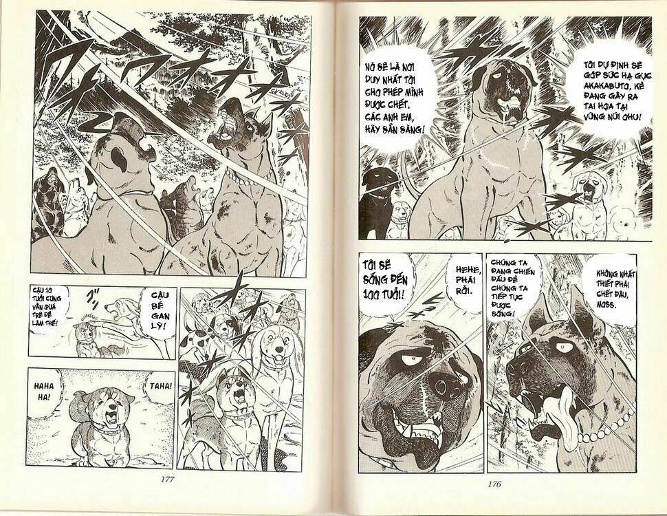 Chú Chó Có Nghĩa - Ginga Nagareboshi Gin: Chapter 16