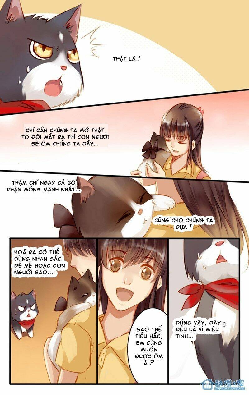 Hằng Mộng Nam Thần: Chapter 22