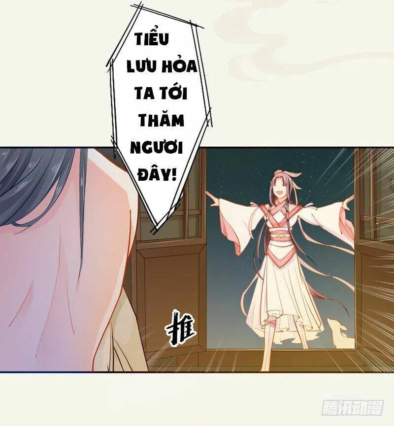 Tuyệt Thế Luyện Đan Sư: Chapter 12