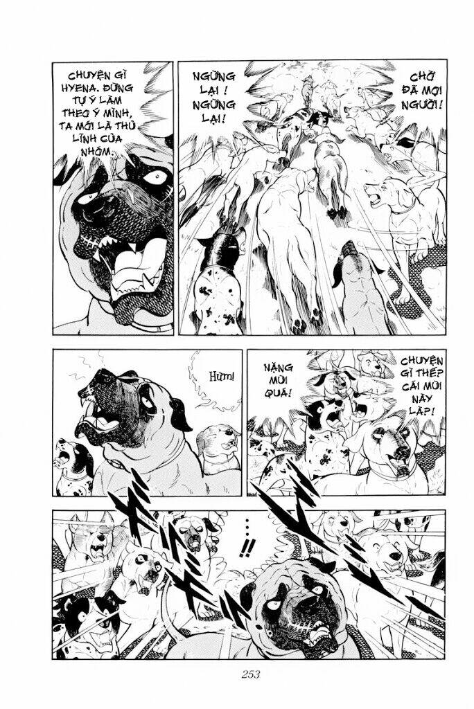 Chú Chó Có Nghĩa - Ginga Nagareboshi Gin: Chapter 30.1