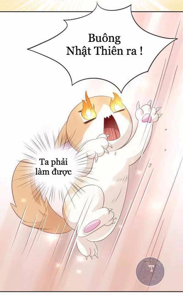 Dưới Móng Vuốt Mèo: Chapter 15