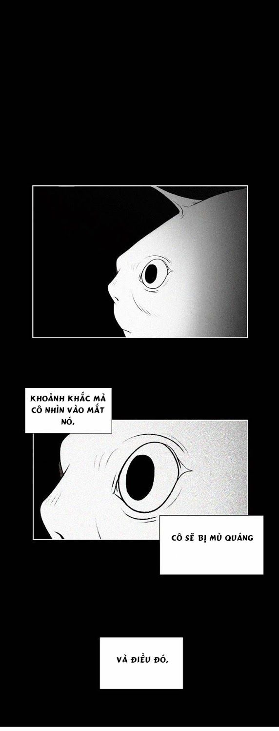 Thành Phố Phù Thủy: Chapter 6