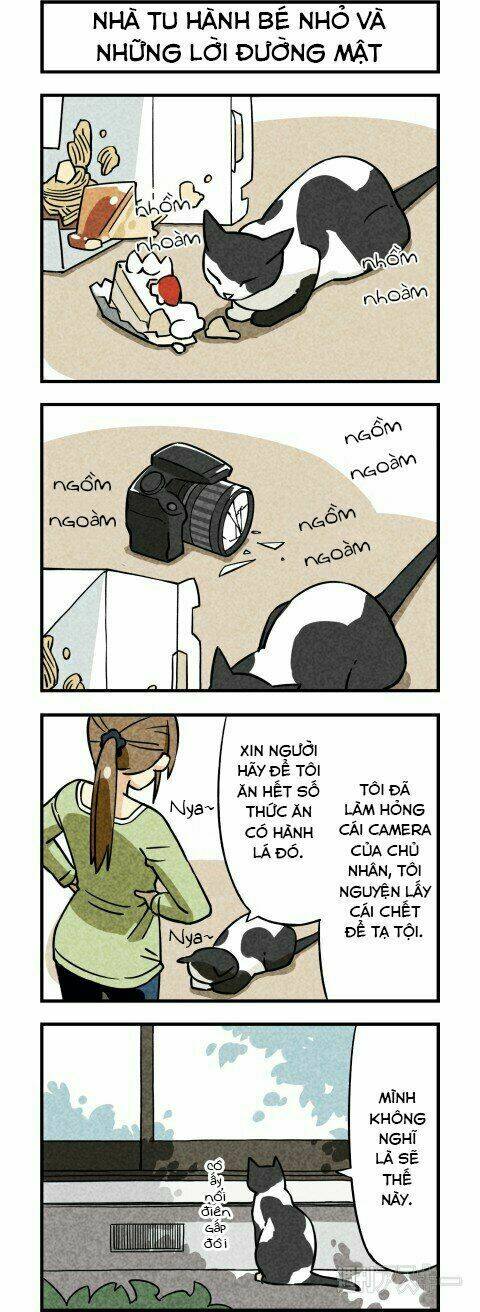 We Are Cat: Chapter 3