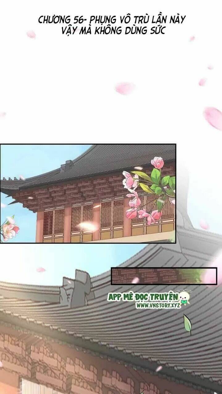 Nhất Sinh Nhất Thế Tiếu Thương Khung: Chapter 56