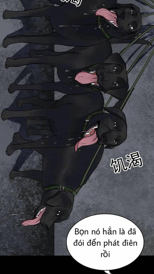 Giày Thủy Tinh: Chapter 23