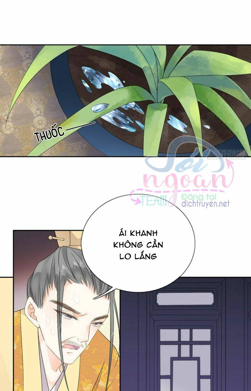 Tang Lạc Túy Tại Nam Phong Lý: Chapter 40