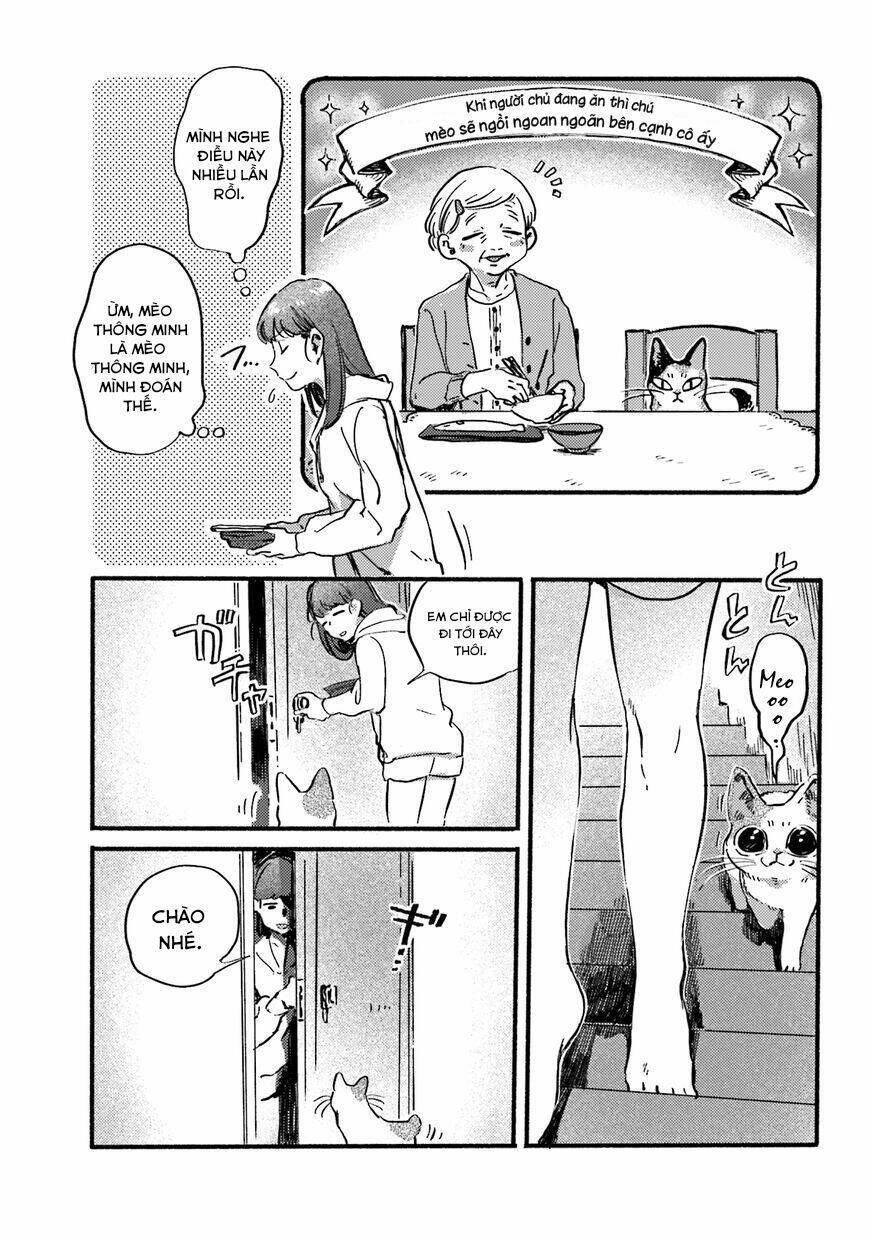 Nekodamari: Chapter 13