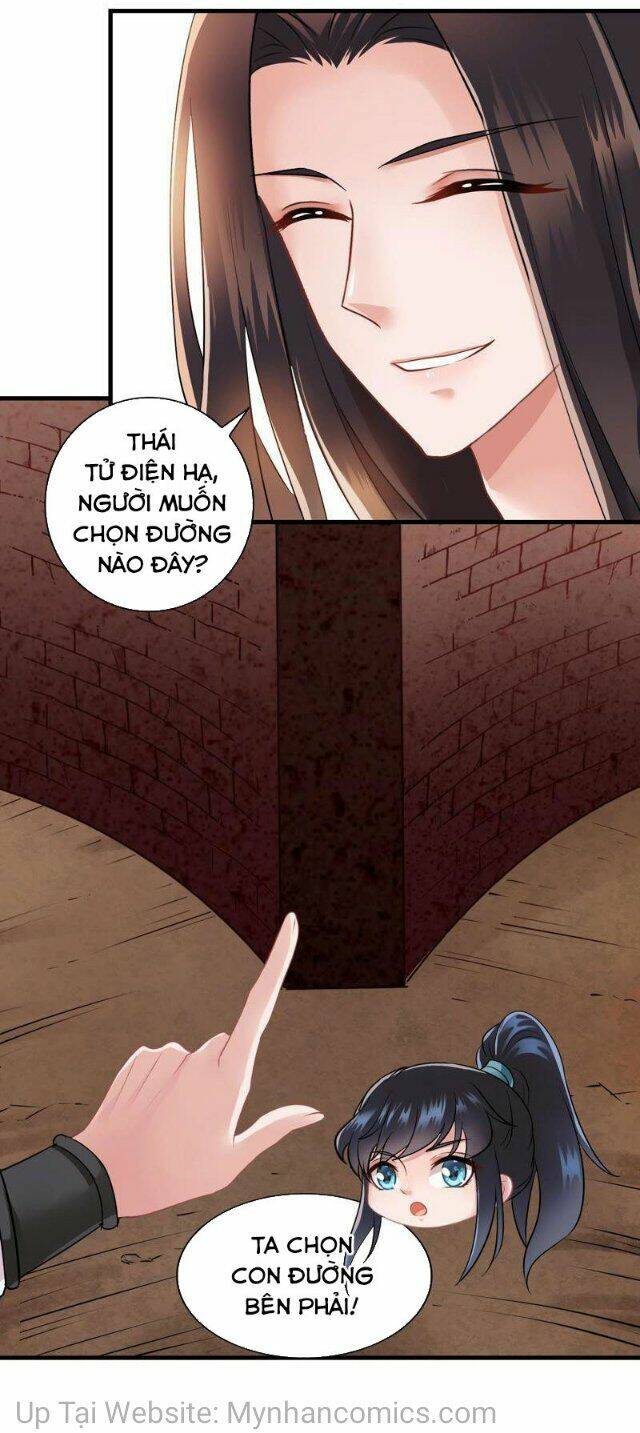 Thái Tử Điện Hạ Có Tin Vui: Chapter 87