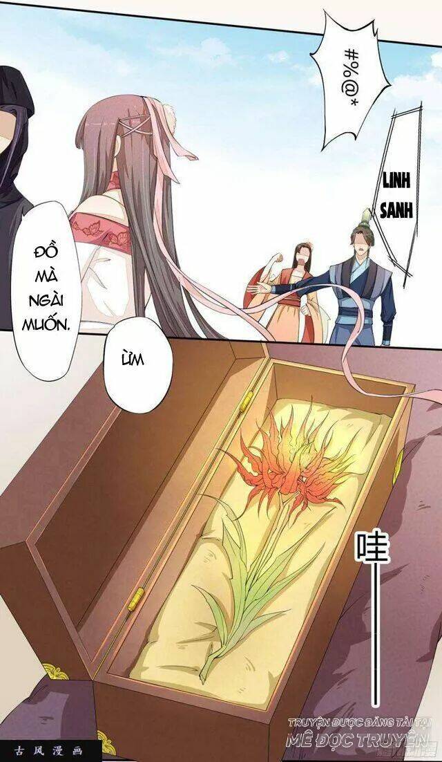 Tuyệt Thế Luyện Đan Sư: Chapter 23