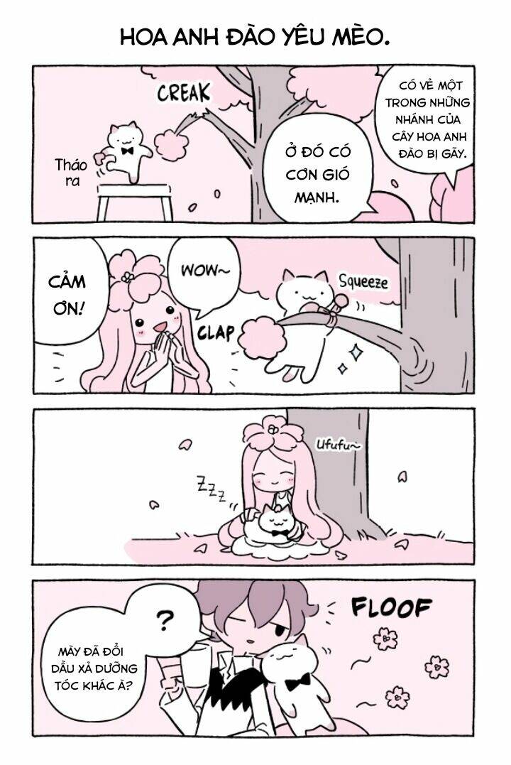 Chú Mèo Kỳ Diệu Kyuu-Chan: Chapter 635